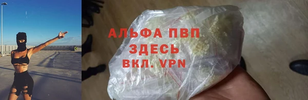 стафф Белокуриха