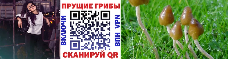 закладки  Ставрополь  Галлюциногенные грибы мухоморы 