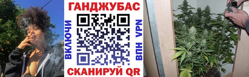где купить Ставрополь Шишки марихуана AK-47